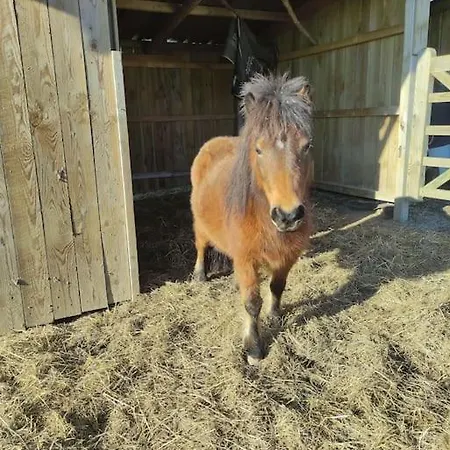 Dom wakacyjny Avec Vue Sur Mont Saint Michel Lolif