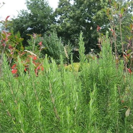 Avec Vue Sur Mont Saint Michel Nyaraló Lolif