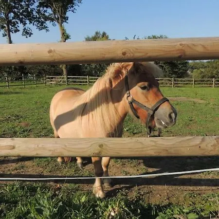 Nyaraló Avec Vue Sur Mont Saint Michel *