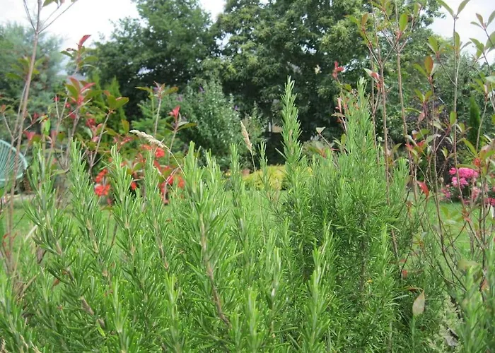 Avec Vue Sur Mont Saint Michel Vakantiehuis Lolif