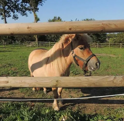 Vakantiehuis Avec Vue Sur Mont Saint Michel *