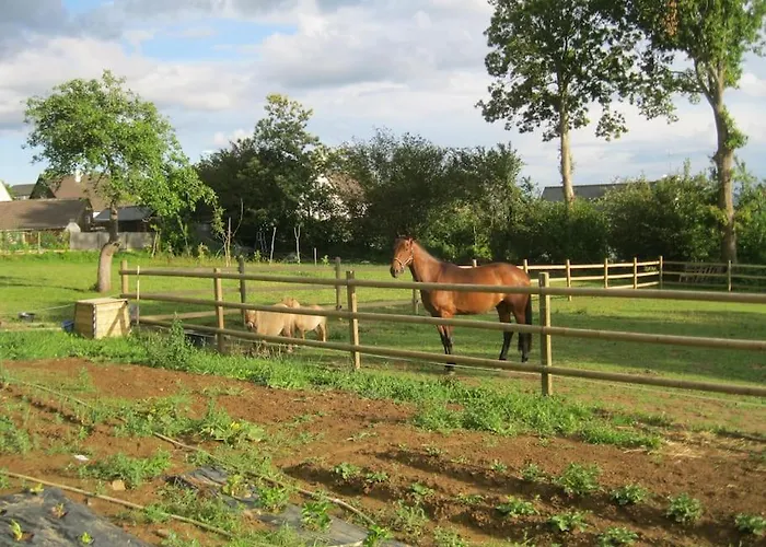 Avec Vue Sur Mont Saint Michel Vakantiehuis *